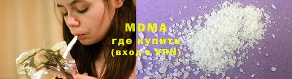 молекула духа Осташков