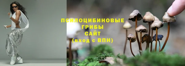 прущая мука Киренск