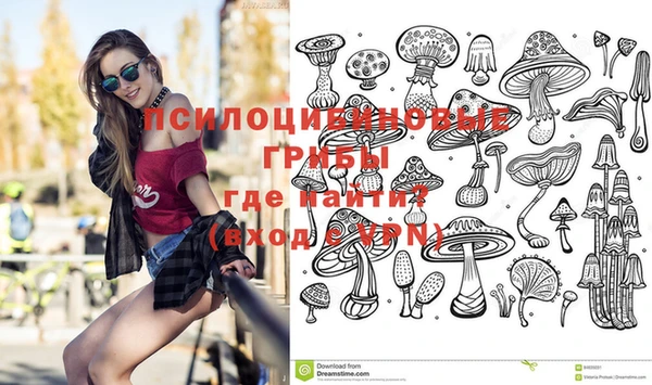 мяу мяу мука Покров