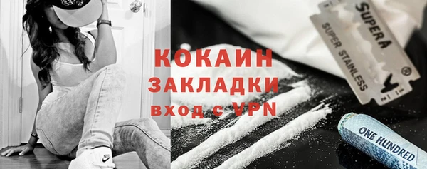прущие грибы Кинешма