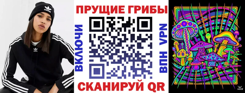 Псилоцибиновые грибы мицелий купить сайты мега зеркало Ковдор